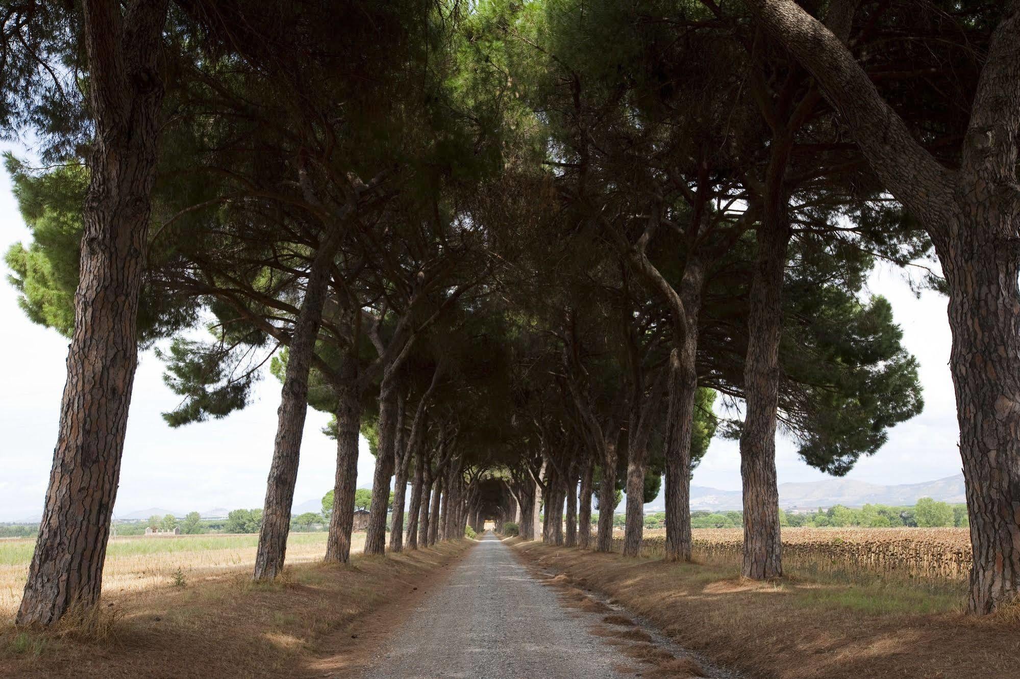 Agriturismo Pantano Borghese Monte Compatri Exterior foto